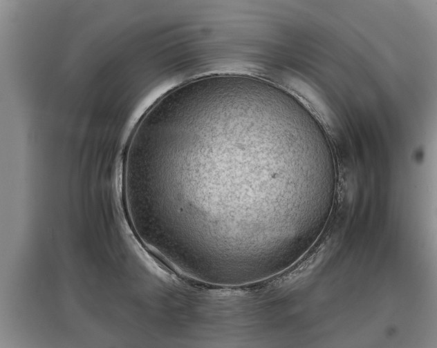 X0000097480804200802291357