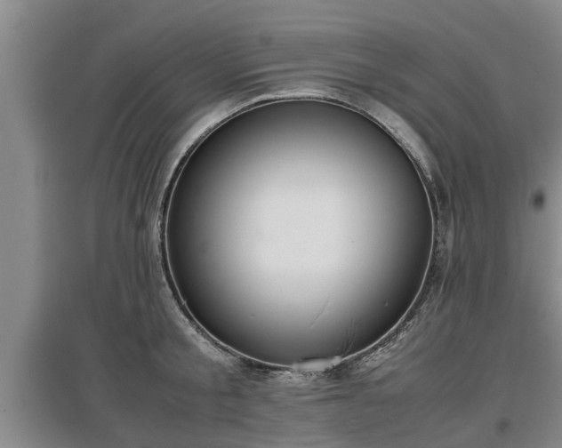 X0000097480805200802291357