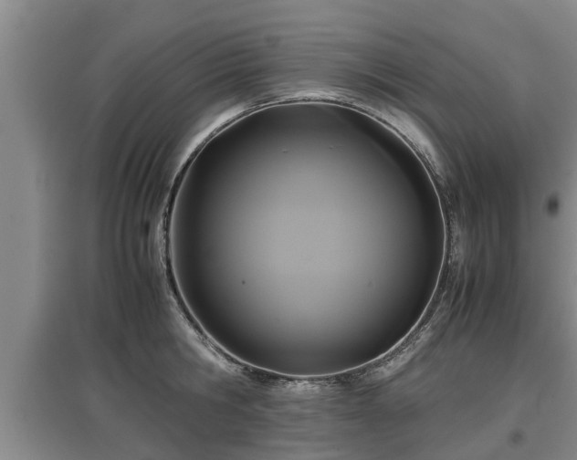 X0000097480806200802291357