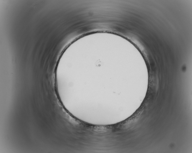 X0000097480807200802291357