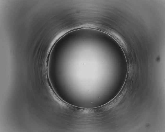 X0000097480808200802291357