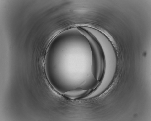 X0000097480809200802291357