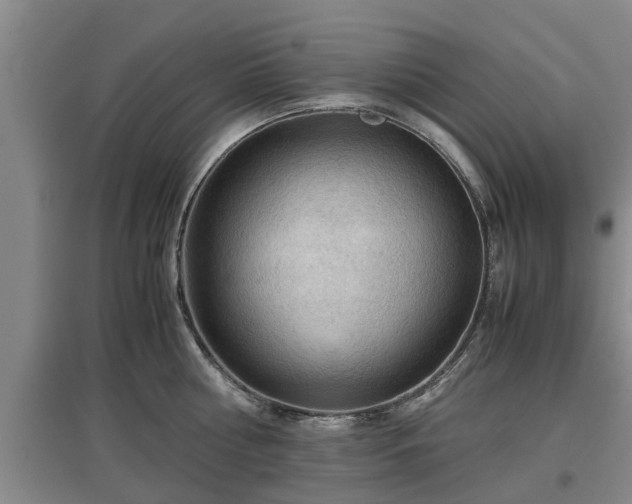 X0000097480810200802291357