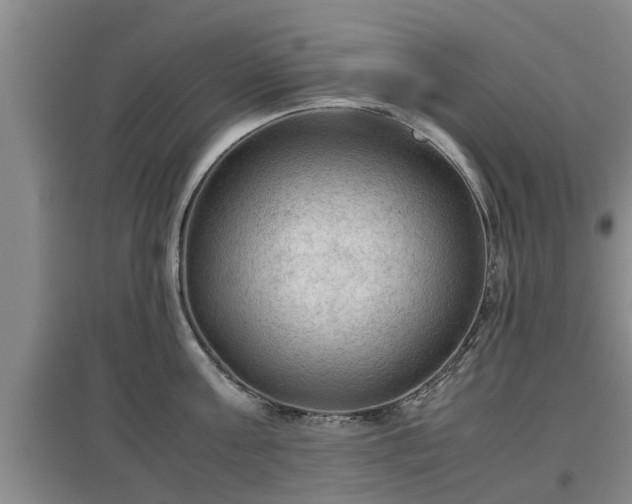 X0000097480811200802291357