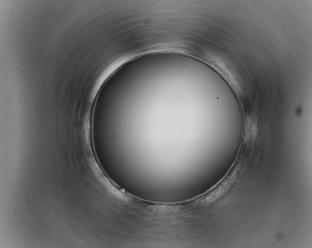 X0000097480812200802291357