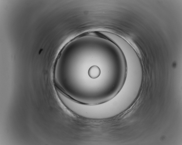 X0000097480813200802291357