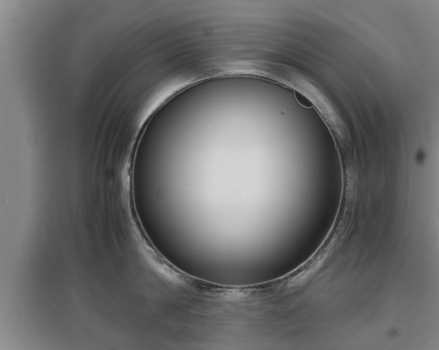 X0000097480814200802291357