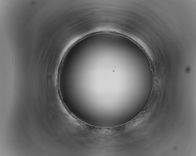 X0000097480815200802291357