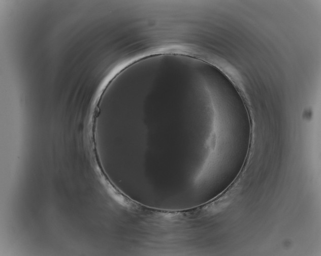 X0000097480816200802291357