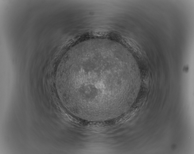 X0000097480817200802291356