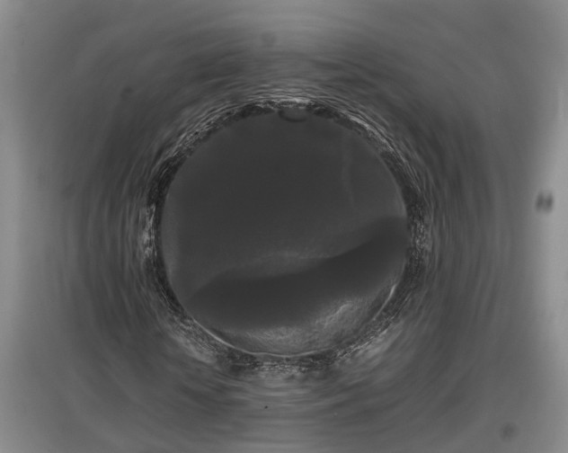 X0000097480818200802291356