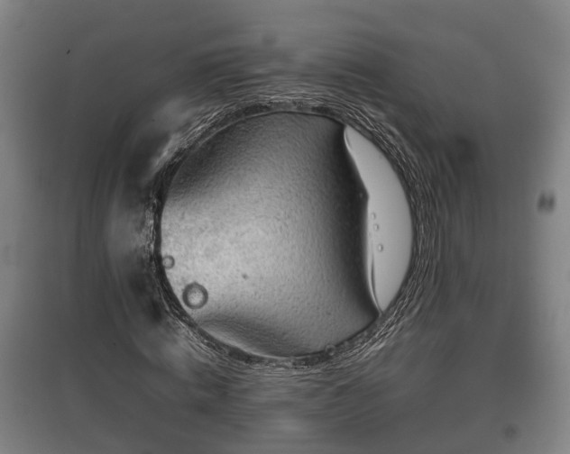 X0000097480820200802291356