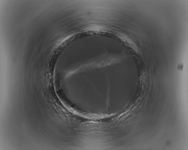 X0000097480822200802291356