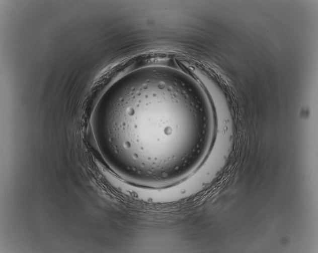 X0000097480824200802291356