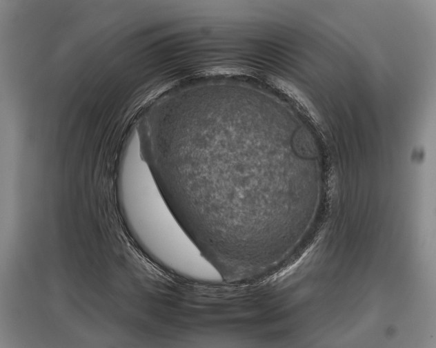 X0000097480825200802291356