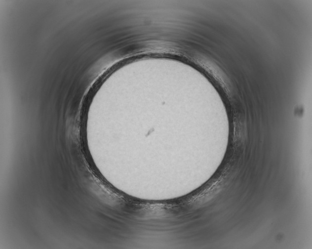 X0000097480828200802291356