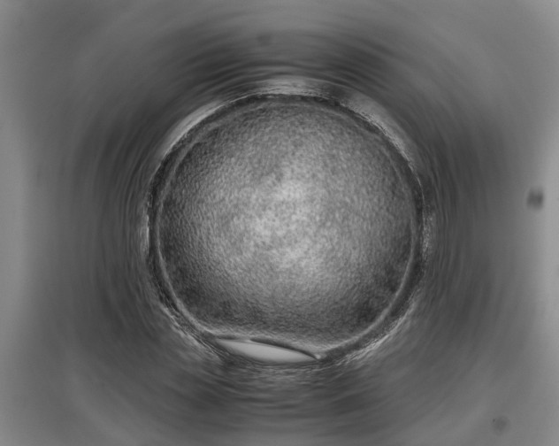 X0000097480829200802291356