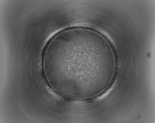 X0000097480830200802291356