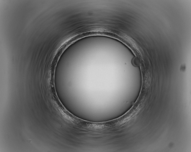 X0000097480831200802291356