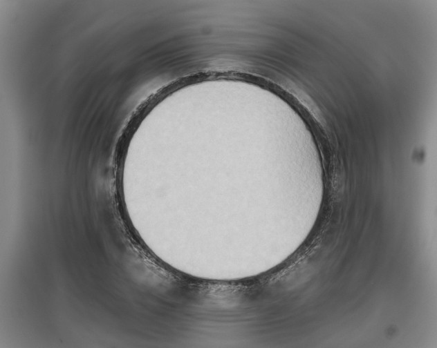 X0000097480832200802291356