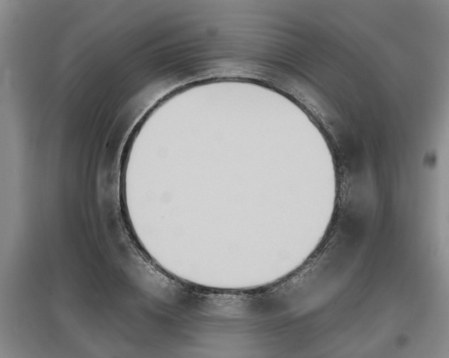 X0000097480836200802291356