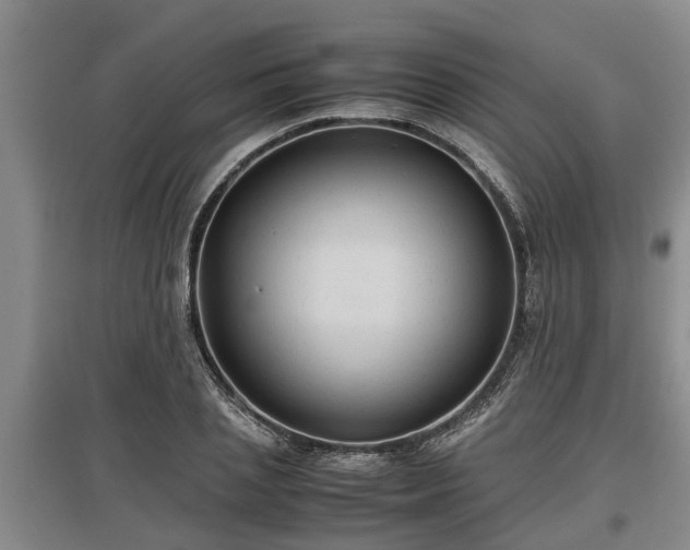 X0000097480837200802291356