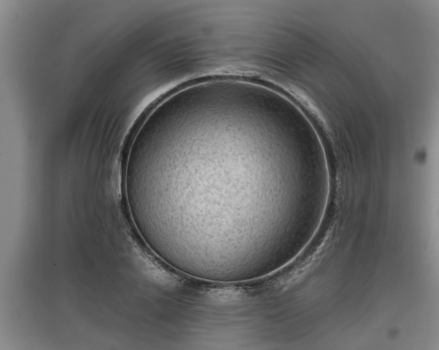 X0000097480838200802291356