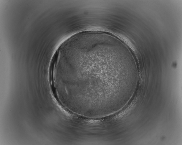 X0000097480839200802291356