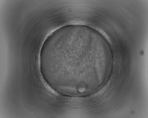 X0000097480840200802291356