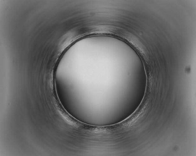 X0000097480842200802291356