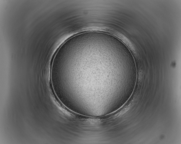 X0000097480844200802291356