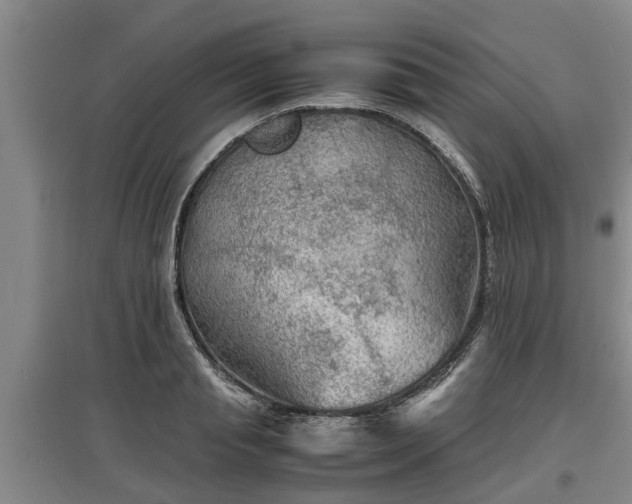 X0000097480845200802291356