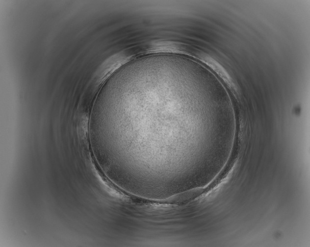 X0000097480849200802291356