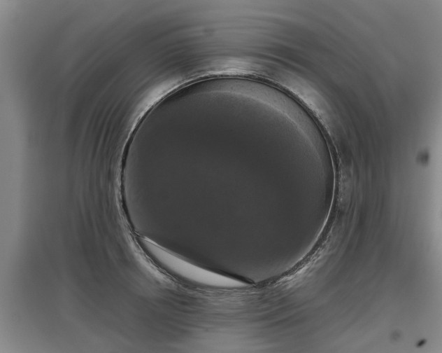 X0000097480850200802291356