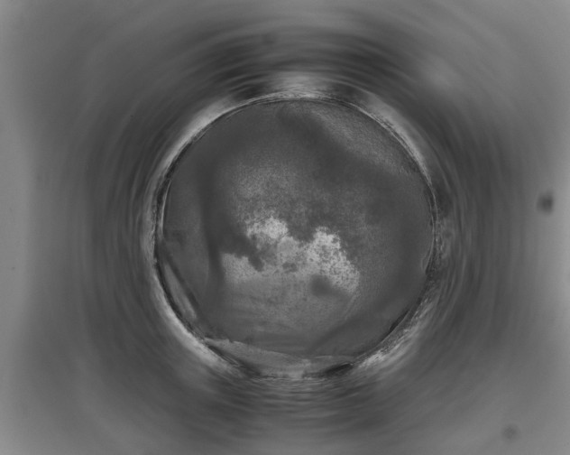 X0000097480851200802291356