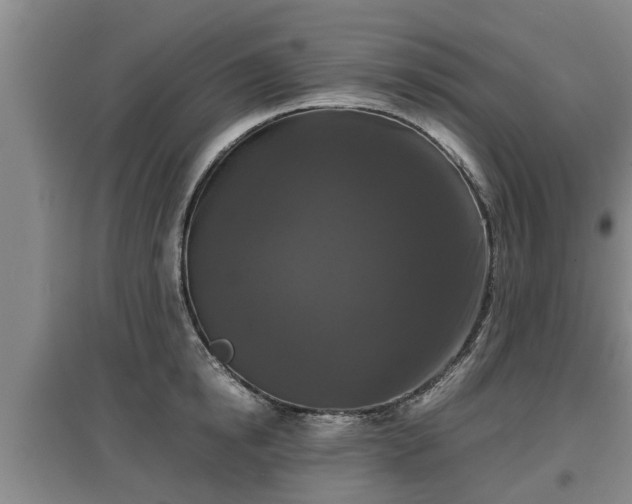 X0000097480854200802291356