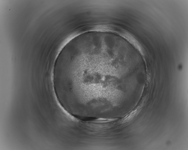 X0000097480855200802291356