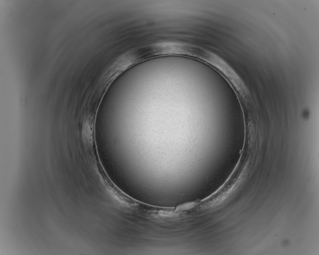 X0000097480857200802291356