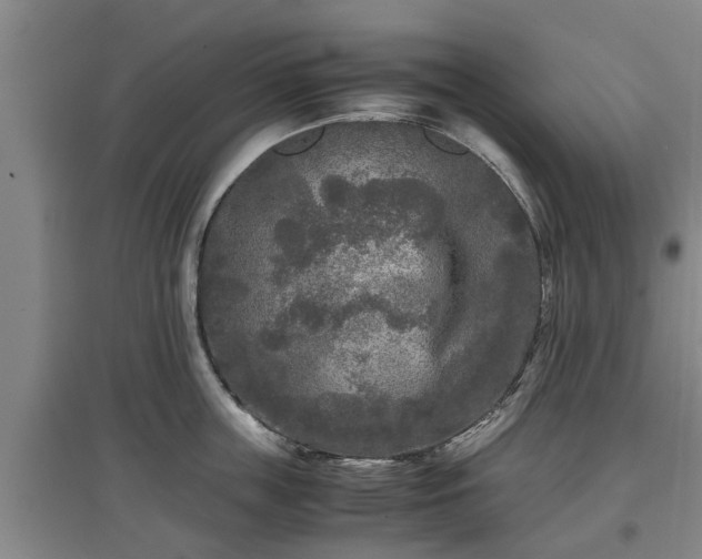 X0000097480859200802291356