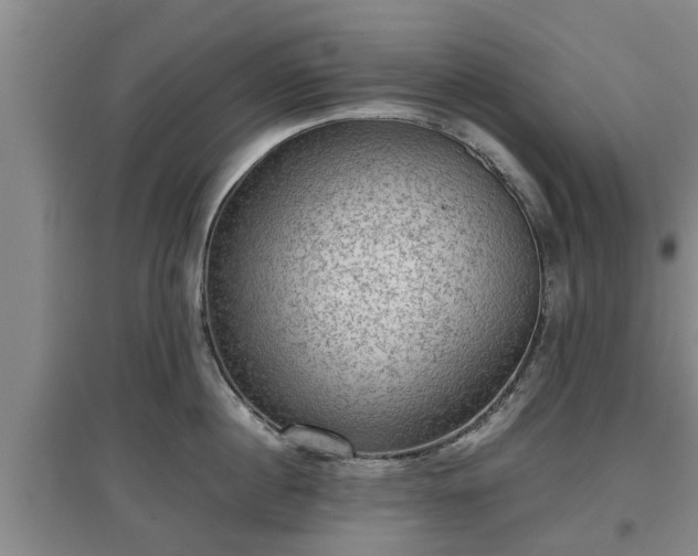 X0000097480860200802291356