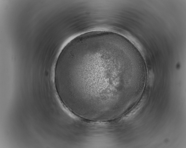 X0000097480862200802291357