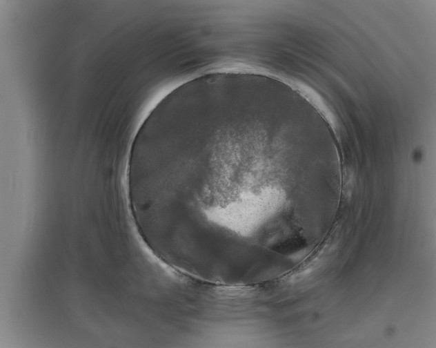 X0000097480863200802291357