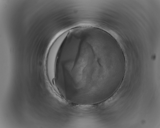 X0000097480864200802291357