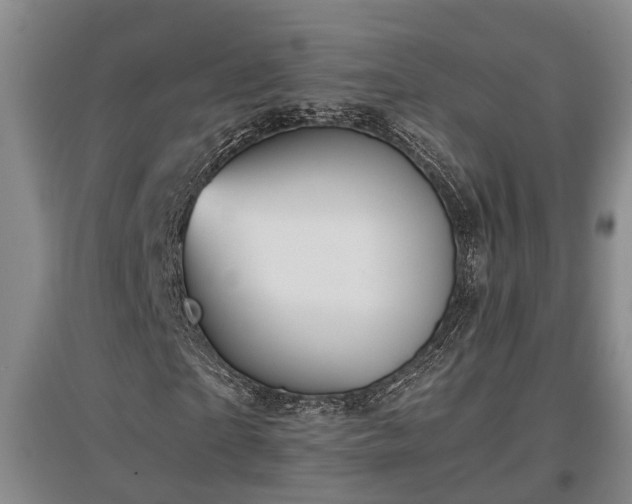 X0000097480865200802291356