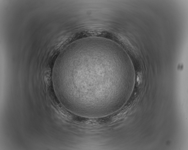 X0000097480867200802291356