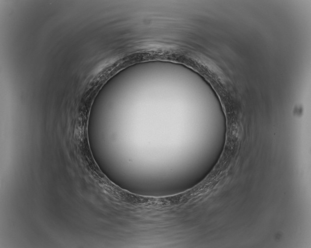 X0000097480869200802291356