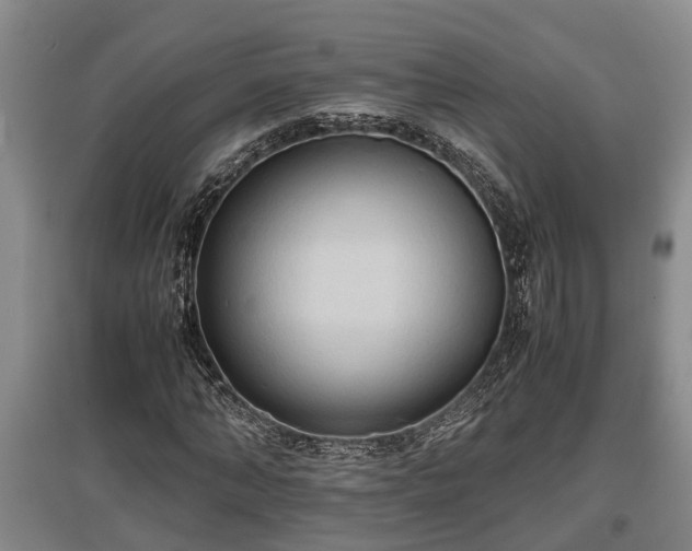 X0000097480870200802291356