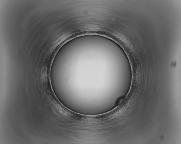 X0000097480873200802291356