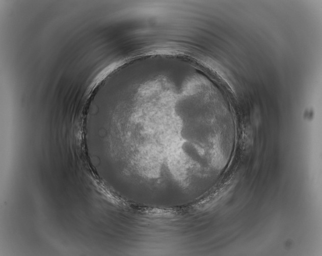 X0000097480874200802291356