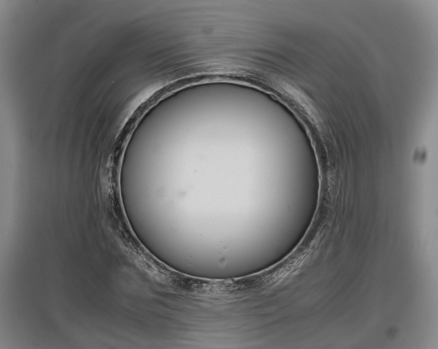 X0000097480875200802291356